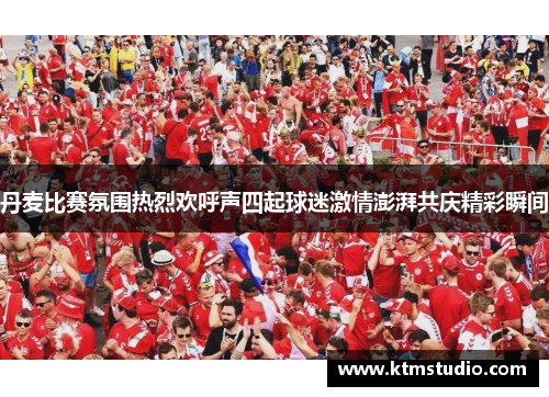 丹麦比赛氛围热烈欢呼声四起球迷激情澎湃共庆精彩瞬间